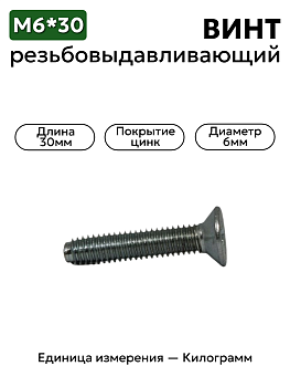 винт резьбовыдавливающий е30414 п29 (6х30 потай) в Нижнем Новгороде
